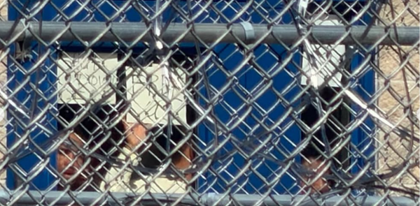 'Literal torture': Hunger strikers at Folkston ICE facility protest inhumane conditions