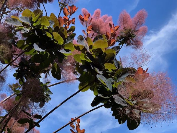 playlist : spring no.1