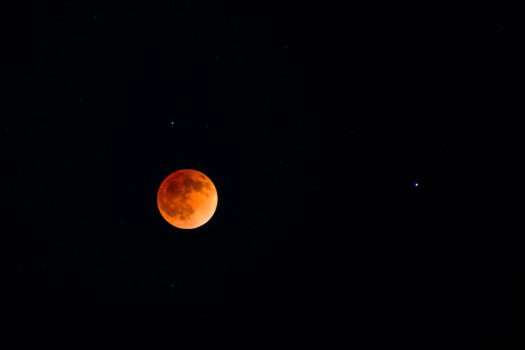 Blood moon lunar eclipse taking place in the night sky over Denali National Park.