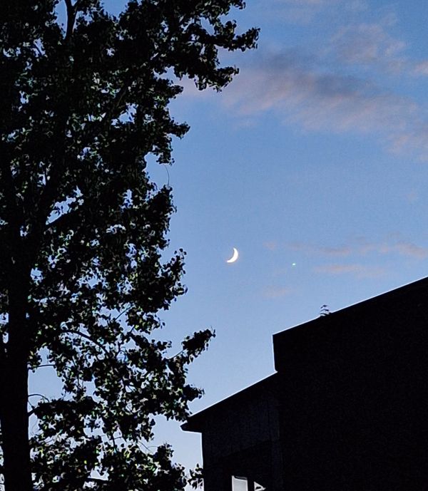 lune en croissant avec une étoile proche d'un arbre et d'un bâtiment à étage, coucher de soleil