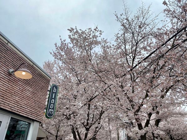 Happenings: The Only Roanoke Events Calendar You’ll Ever Need. Week of 3/30 to 4/6.