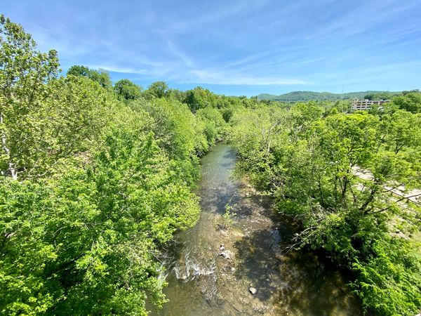 Happenings: The Only Roanoke Events Calendar You’ll Ever Need. Week of 5/11 to 5/18.