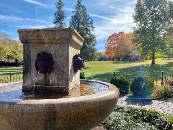 Happenings: The Only Roanoke Events Calendar You’ll Ever Need. Week of 11/2 to 11/9.