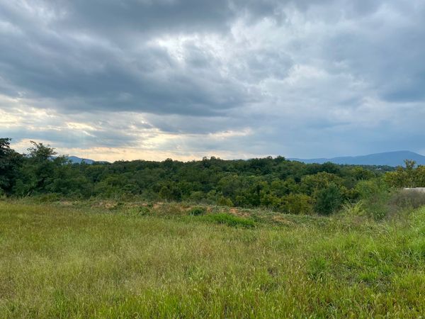 Ramblings: City Picks Master Planner for Evans Spring Land; Roanoke School Staff Diversity Lags; 5 Points Music Nears Goal