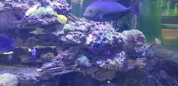 Happenings: The Only Roanoke Events Calendar You’ll Ever Need. Week of 3/1 to 3/8.