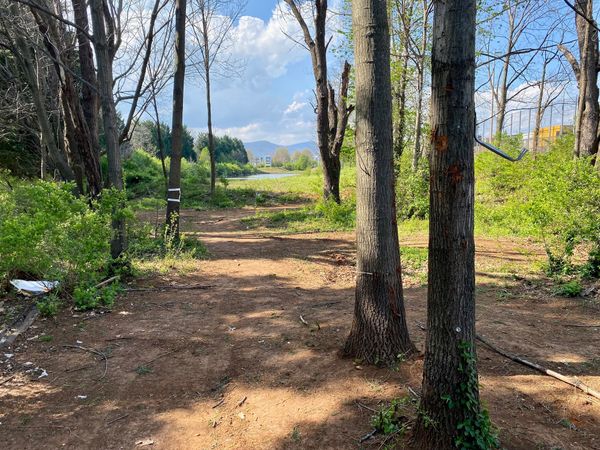 Ramblings: City Seizing Site of Camps Near Roanoke Airport; School Board Candidates Vie; City Gets 2 State Laws Sought