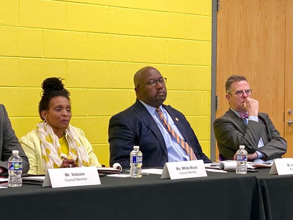Ramblings: Roanoke Youth Curfew Talk Hits Snag; Gun Violence Panel Tweaks Tabled; Black History Project Launches