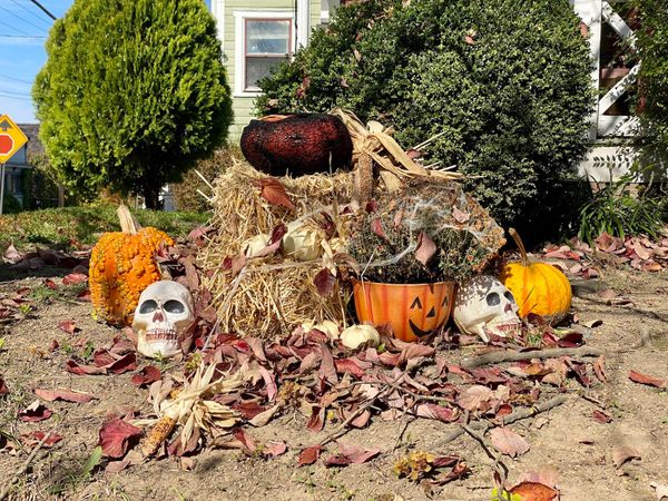 Happenings: The Only Roanoke Events Calendar You’ll Ever Need. Week of 11/1 to 11/8.