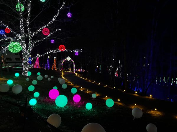 Happenings: The Only Roanoke Events Calendar You’ll Ever Need. Week of 11/22 to 11/29.