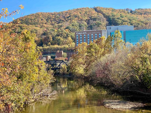 Happenings: The Only Roanoke Events Calendar You’ll Ever Need. Week of 11/20 to 11/27.