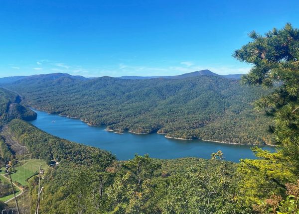 Happenings: The Only Roanoke Events Calendar You'll Ever Need. Week of 5/7 to 5/14.