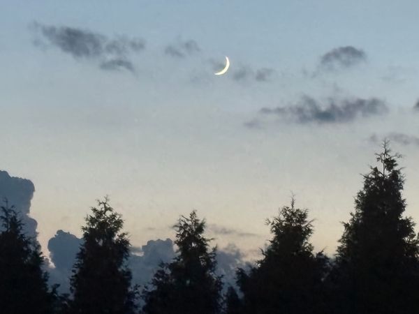 Happenings: The Only Roanoke Events Calendar You’ll Ever Need. Week of 7/30 to 8/6.