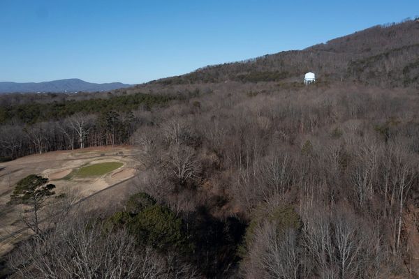 Roanoke Plans To Clear-Cut Forest Near Read Mountain for Potential New Industry