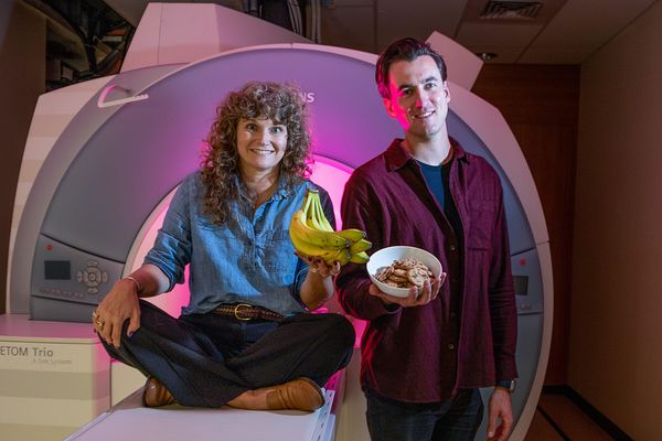 Same Calories, Different Response: Roanoke Researchers Test Ultraprocessed Foods, and Find a Surprise