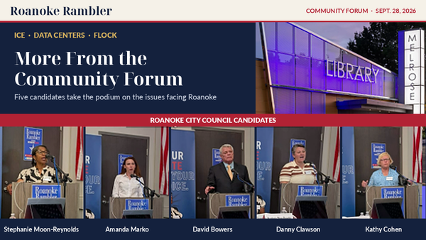 Beyond the Headlines: More from Roanoke's Council Candidates