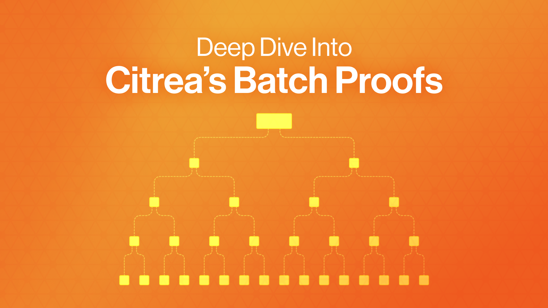 Deep Dive into Citrea's Batch Proofs