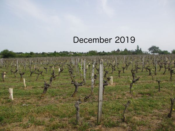 Articles - 2019 December