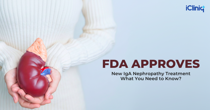 FDA Approves a Groundbreaking New Treatment for IgA Kidney Disease