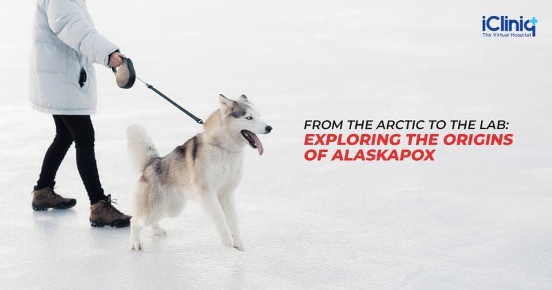 From the Arctic to the Lab: Exploring the Origins of Alaskapox