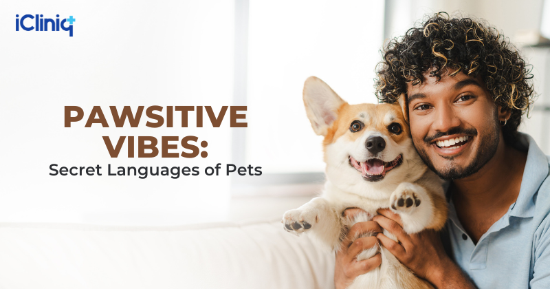 Pawsitive Vibes: Secret Languages of Pets