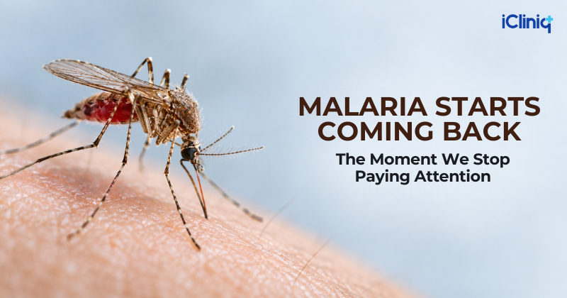 India Nearly Beat Malaria, So Why Isn’t Anyone Relaxing Yet?