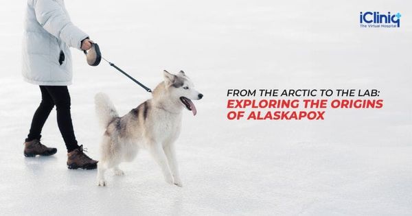 From the Arctic to the Lab: Exploring the Origins of Alaskapox