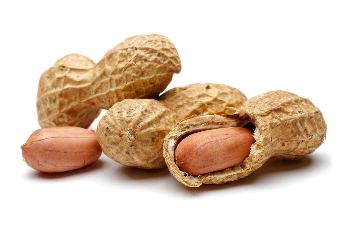 Efecto del maní en el colesterol: beneficios para la salud cardiovascular y recomendaciones