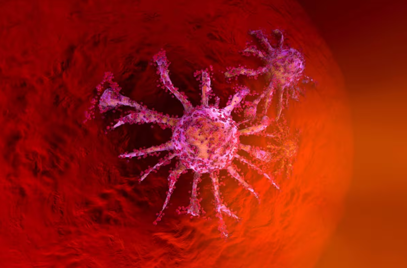 El tamaño y la carga genética de las células tumorales: el nuevo hallazgo que explica la letalidad del cáncer