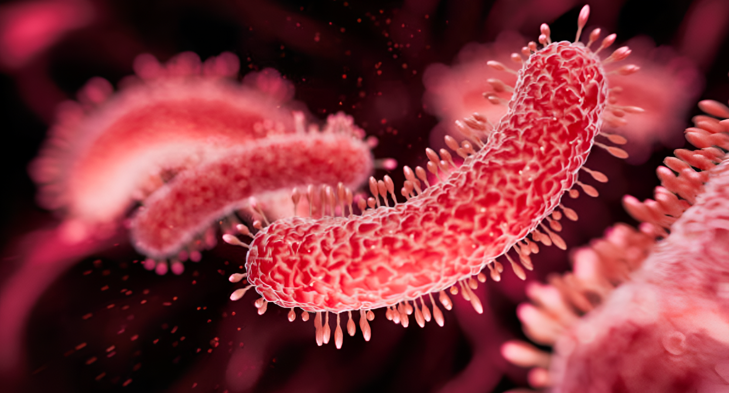 Circulación de bacterias multirresistentes y glifosato en adultos sanos genera alerta epidemiológica en Buenos Aires
