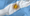 La Asamblea Mundial de la Salud ratifica el retiro definitivo de Argentina de la Organización Mundial de la Salud