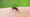 El Salvador confirma segunda muerte por dengue en 2026 y advierte un duplicado en casos sospechosos