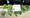 Dos trabajadores extranjeros permanecen hospitalizados en Israel por intoxicación aguda tras consumir una planta silvestre venenosa