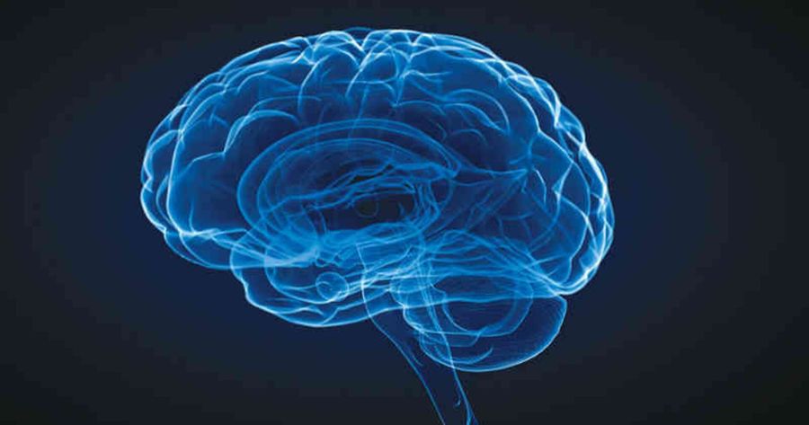 La ciencia confirma: tener más músculo y menos grasa abdominal es el factor más poderoso para mantener el cerebro joven