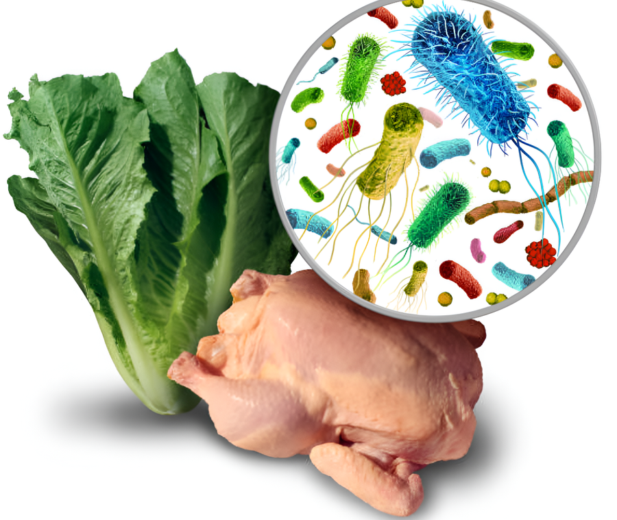 El brote en Costa Rica de salmonella en Ciudad Colón de Mora ya tiene 47 afectados y un fallecido