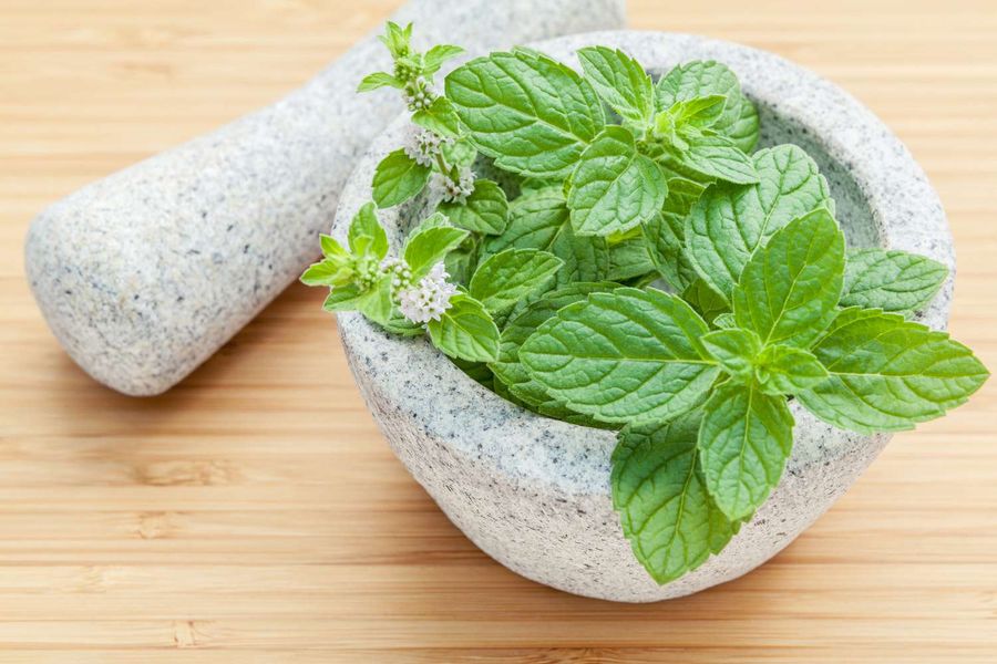 Los 10 beneficios comprobados de la menta para la salud