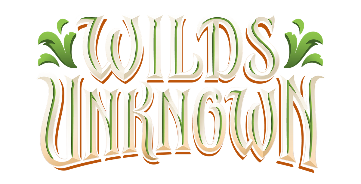 Disney Lorcana: Wilds Unknown — What's Coming in Set 12