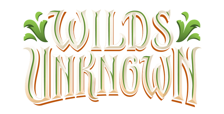 Disney Lorcana: Wilds Unknown — What's Coming in Set 12