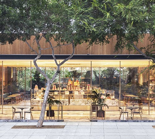 Bottega Louie
