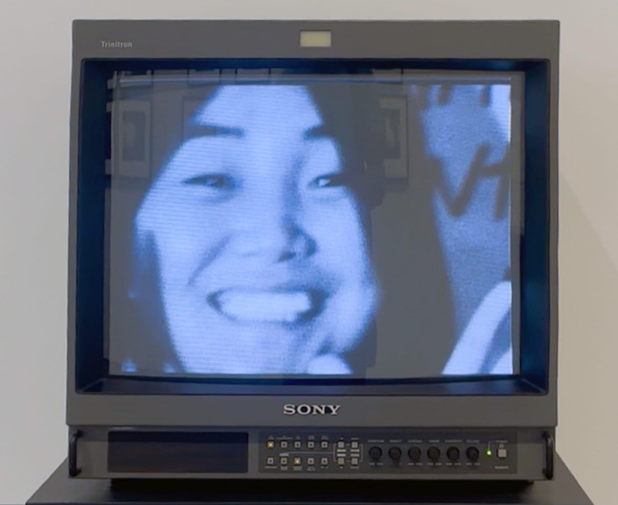 Theresa Hak Kyung Chas Retrospective Arrives After Asian American Artists Built the Canon Institutions Ignored