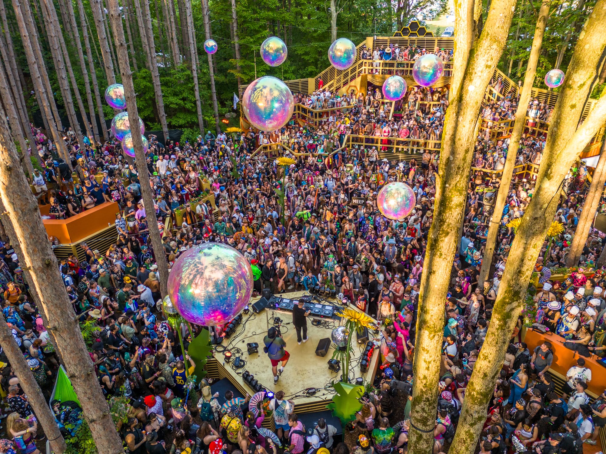 Opening day in Sherwood Forest at Electric Forest