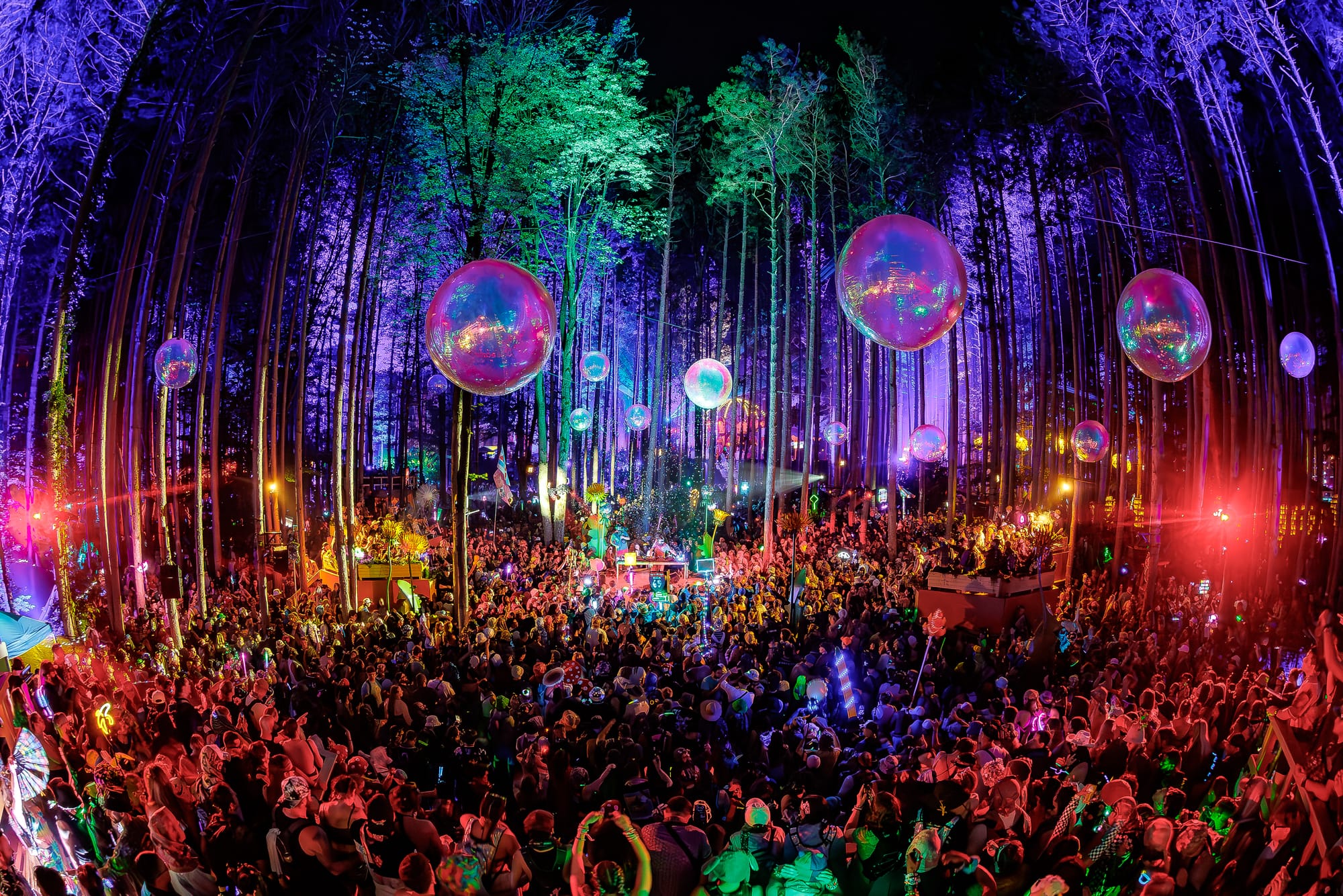 Electric Forest crowd under the lights at night