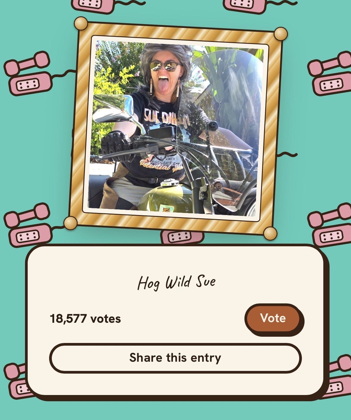 A Sue Dillon costume entry on the Lookalike Awards voting wall