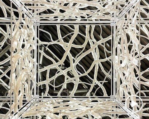 The papercrete installation showing the branch-like lattice structure in situ — the tree-like spatial form, the textural irregularity of the material, and the porous quality that makes it ...