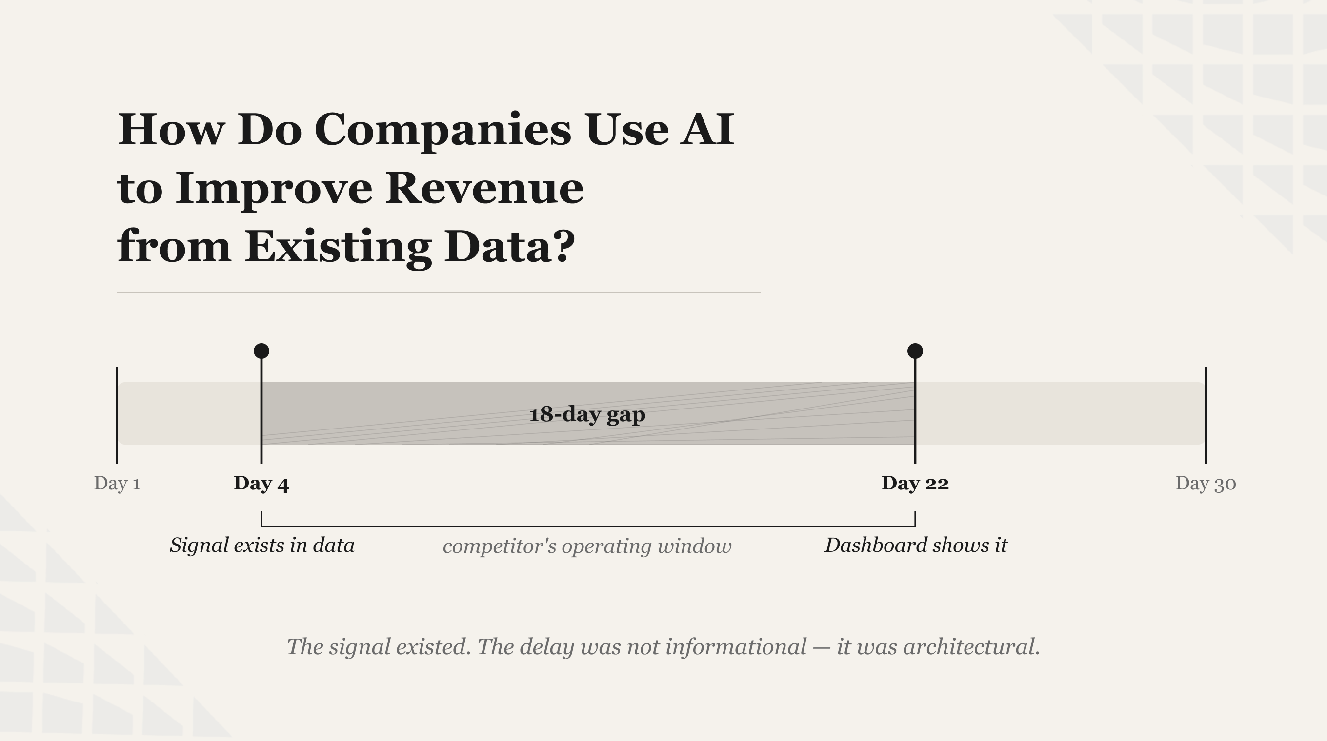 How Do Companies Use AI to Improve Revenue from Existing Data?