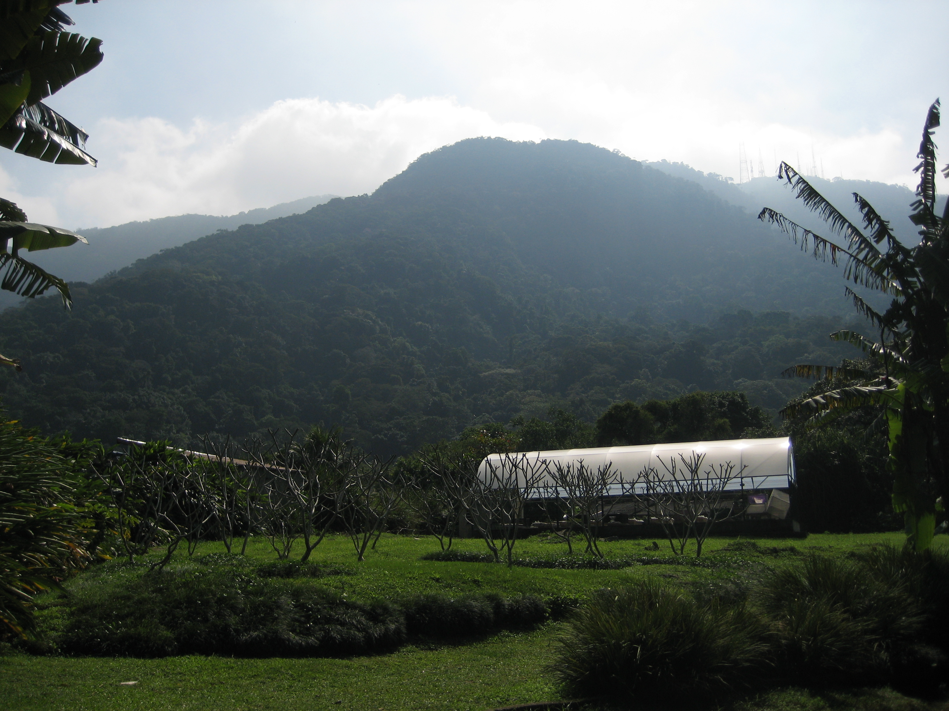 A view to foggy mountains