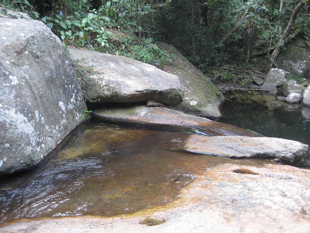 Natural pool