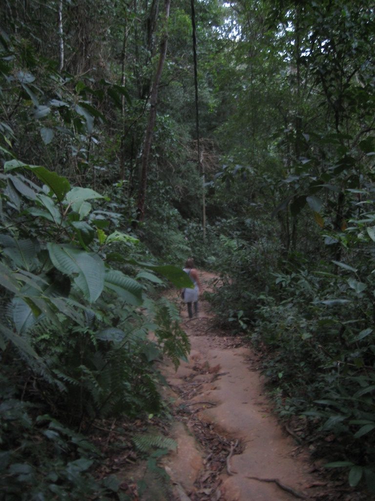 Our trail of the day