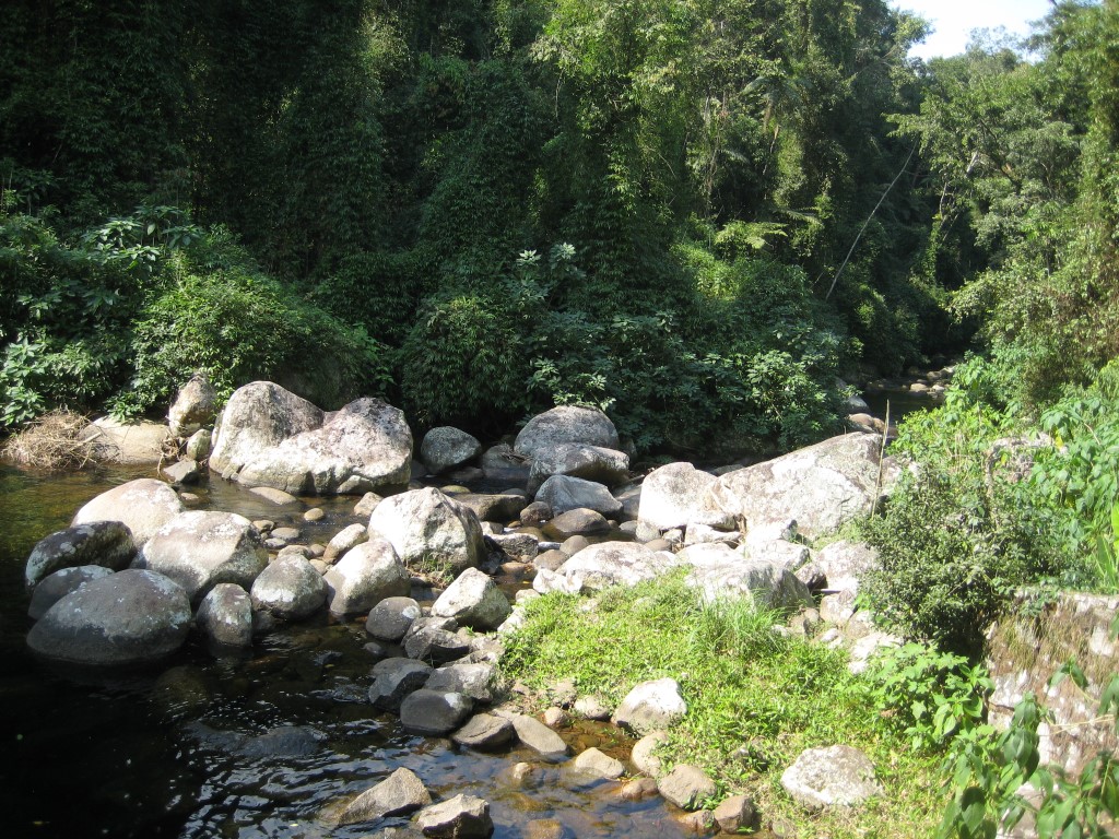 White Stone waterfall 12