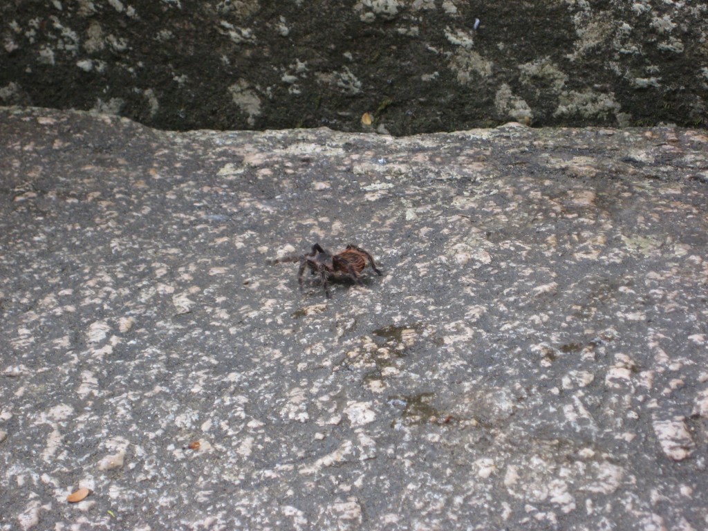 White Stone waterfall 6