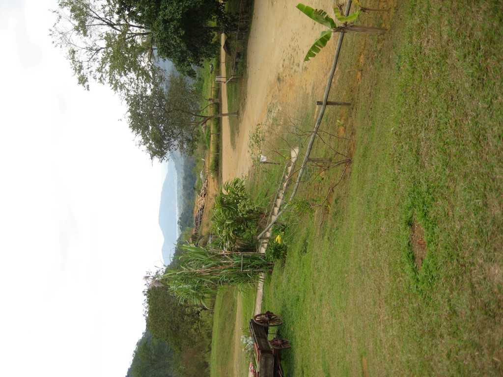 White Stone disitillery 4